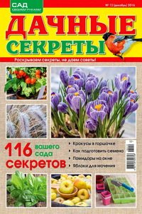 Дачные секреты №12  2016