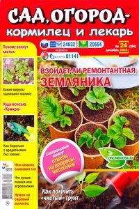 Сад огород  кормилец и лекарь №24  2016