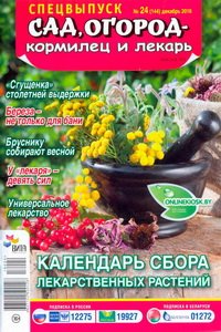Спецвыпуск Сад огород  кормилец и лекарь  №24   2016