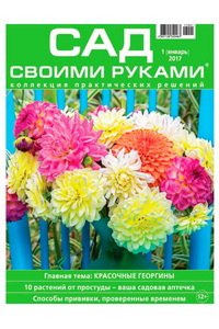 Сад своими руками №1  2017