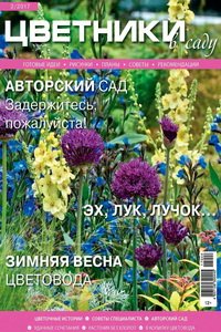 Цветники в саду №2  2017