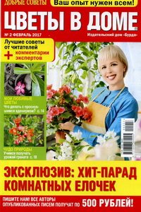Цветы в доме №2 2017