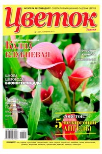 Цветок №1 2017