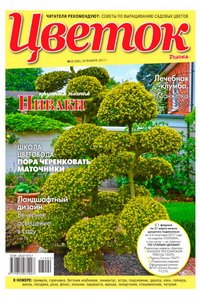 Цветок №2 2017