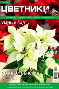 Цветники в саду №1 2017