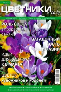 Цветники в саду №3  2017