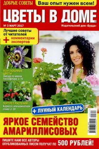 Цветы в доме  3  2017