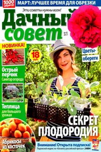 Дачный совет №4 2017