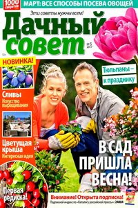 Дачный совет №5  2017