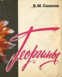 Георгины 