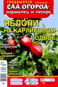 Сад огород кормилец и лекарь спецвыпуск №6 2017