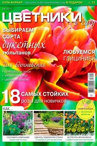 Цветники в саду №4 2017
