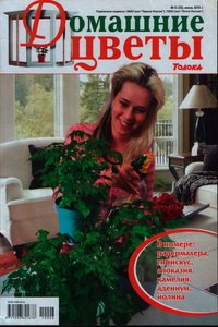 Домашние цветы №6 2010
