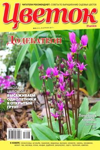 Цветок №8 2017