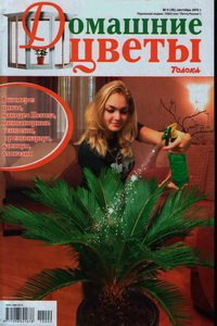 Домашние цветы №9 2010
