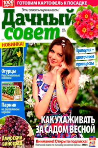 Дачный совет №8 2017