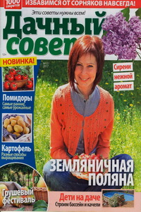 Дачный совет №11 2017