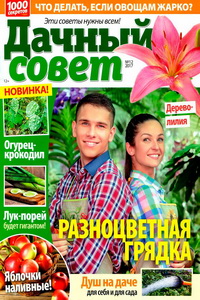 Дачный совет №12  2017