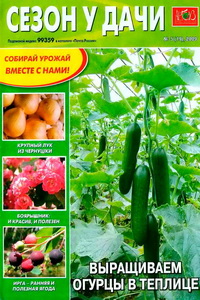 Сезон у дачи №5 2009