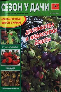 Сезон у дачи №15 2011