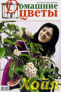 Домашние цветы №5 2011