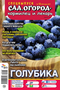 Сад огород кормилец и лекарь спецвыпуск №13 2017