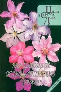 Цветы в саду и дома №1 1999