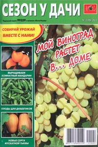 Сезон у дачи №2 2012