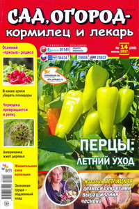 Сад огород кормилец и лекарь №14 2017