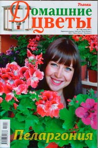 Домашние цветы №7 2011