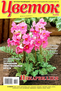 Цветок №12 2017