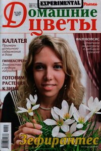 Домашние цветы №10 2011