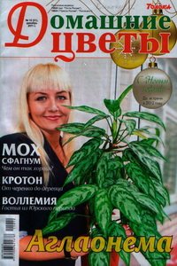 Домашние цветы №12 2011
