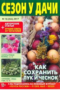 Сезон у дачи №16  2017