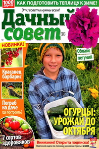 Дачный совет №21  2017