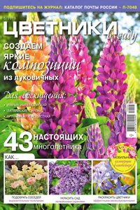 Цветники в саду №5 2019