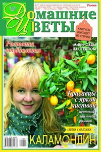 Домашние цветы №2 2024