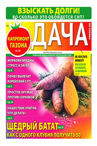 Дача №9 2026