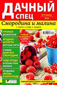 Дачный спец №6 2026
