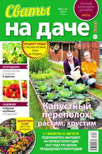 Сваты на даче №6 2026