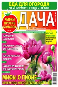 Дача №11 2026