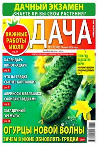 Дача №12 2026