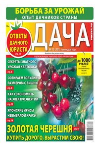 Дача №13 2026