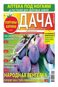Дача №15 2026