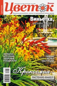 Цветок №16 2026