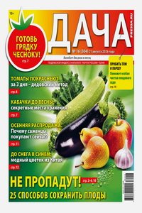 Дача №16 2026