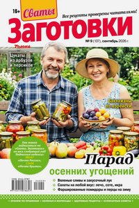 Сваты заготовки №9 2026
