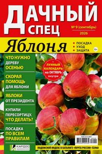 Дачный спец №9 2026