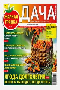 Дача №18 2026