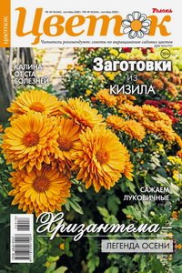 Цветок №18 2026